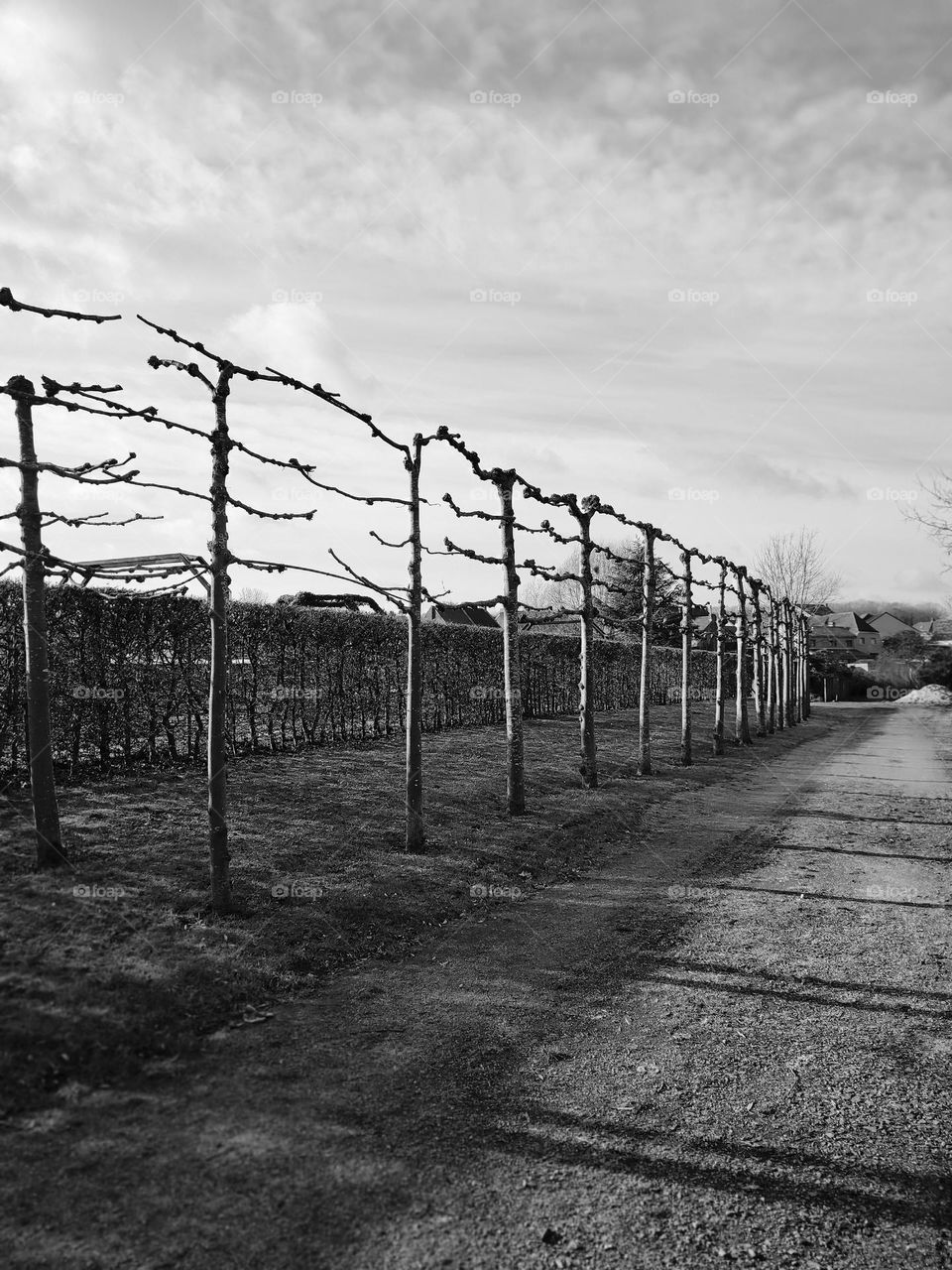 Visit of the castle of Havré, Hainaut