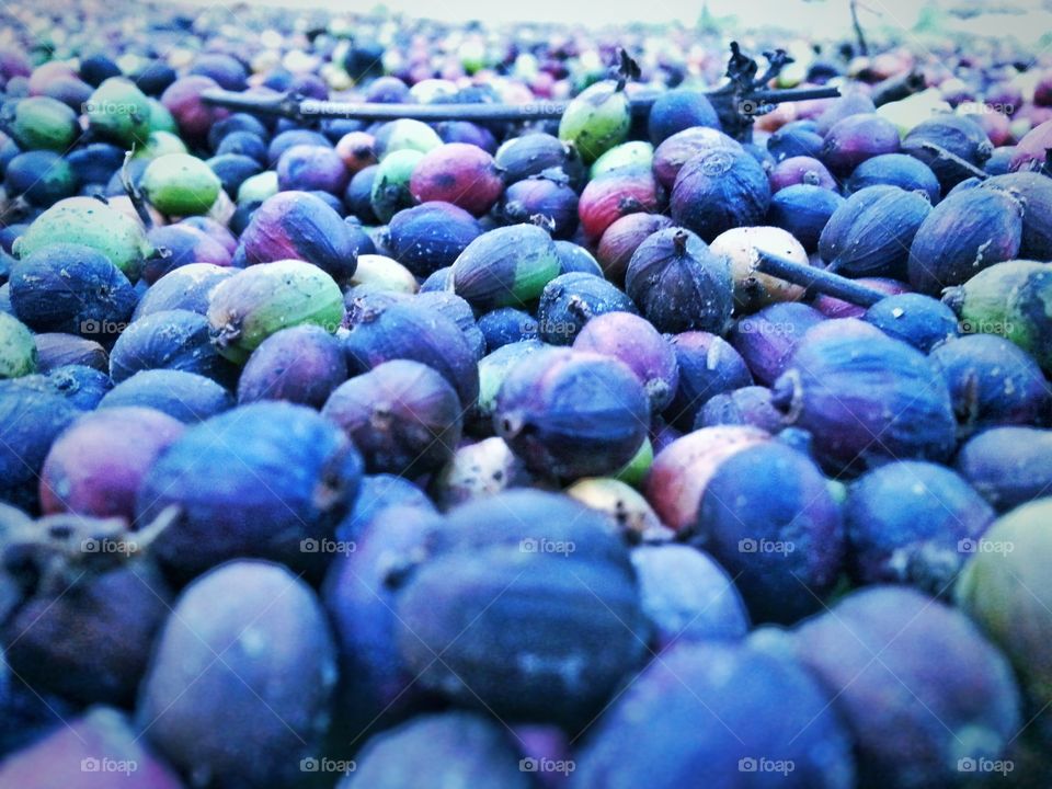 together. nuts together