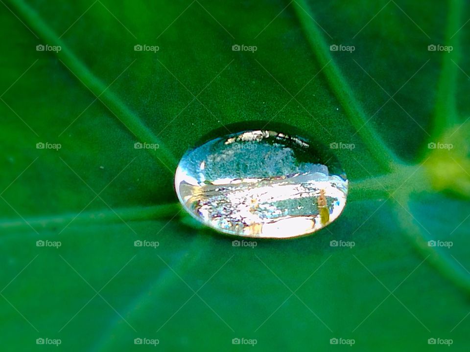 Crystal water