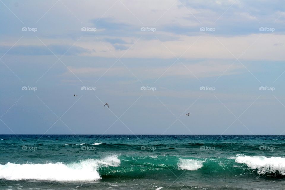 Seabirds flying over surf. Sandpipers 8 flight over ocean wave