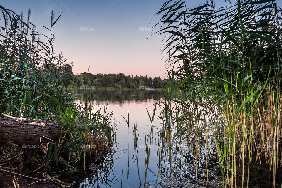 Wakacje 2018, Zaborowo, Leszno, Poland