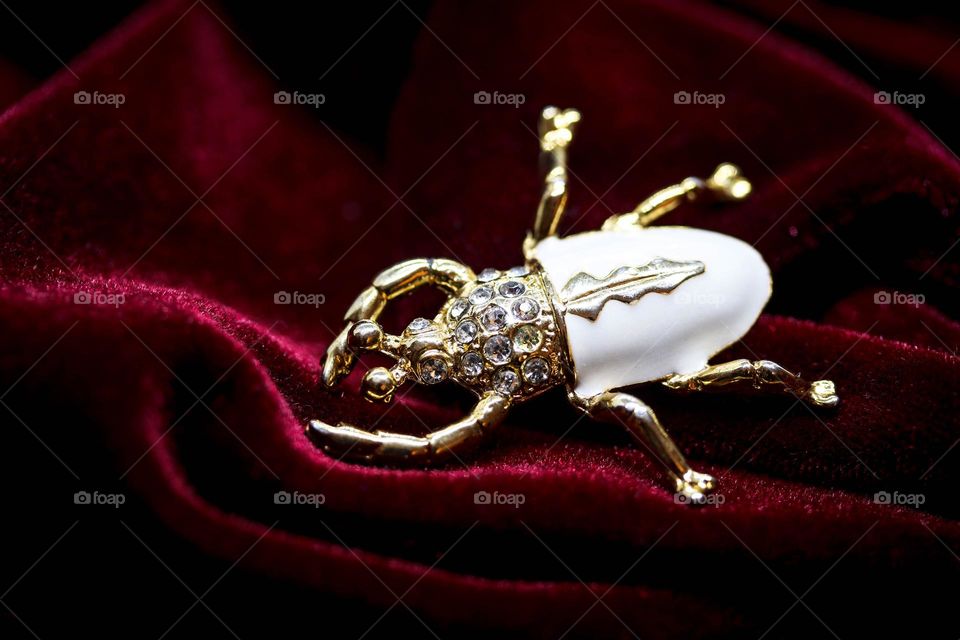 Gorgeous broach shaped as a bettle