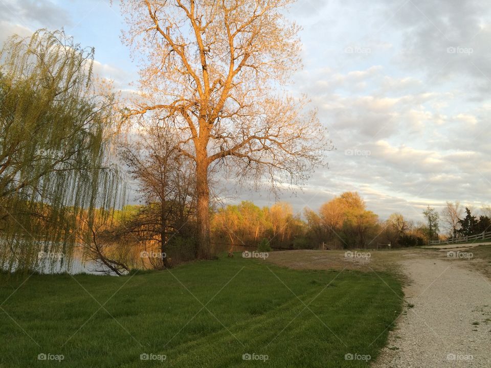 Light playing across a spring landscape 