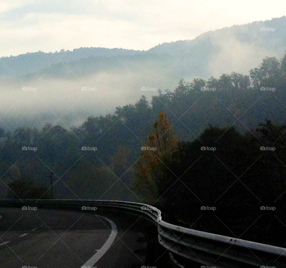 italy car grey trees by korazmd