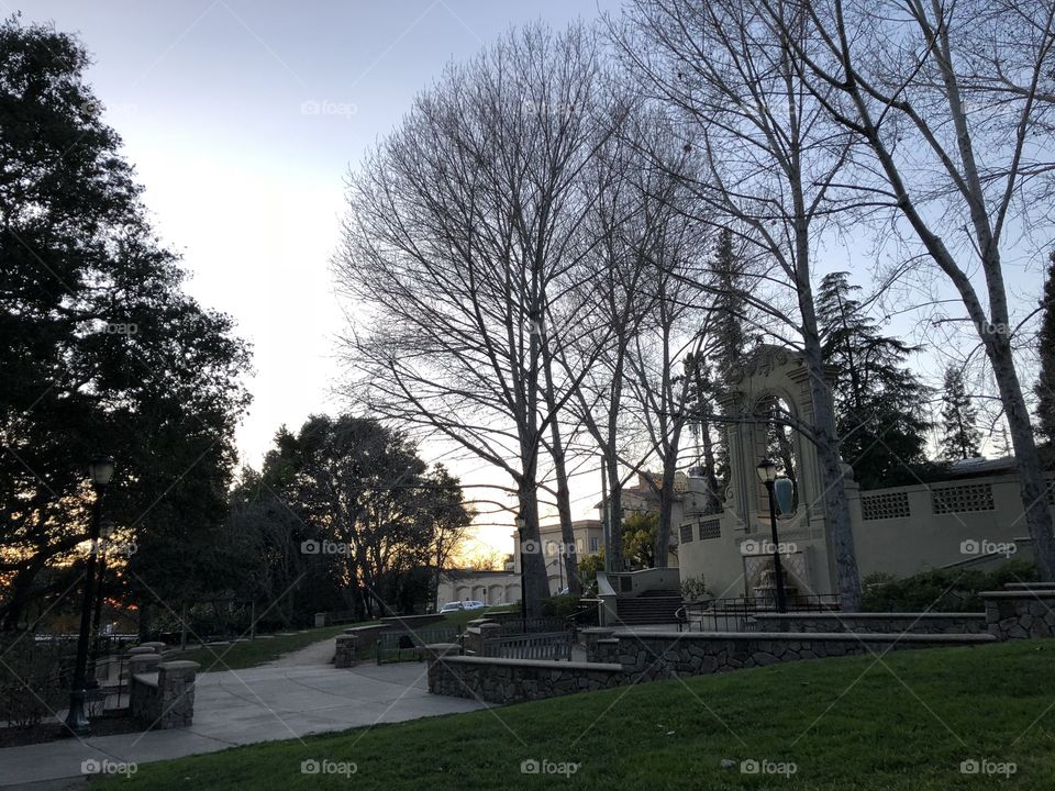 Beautiful photo of Piedmont, California from a park with sunset and monument in background