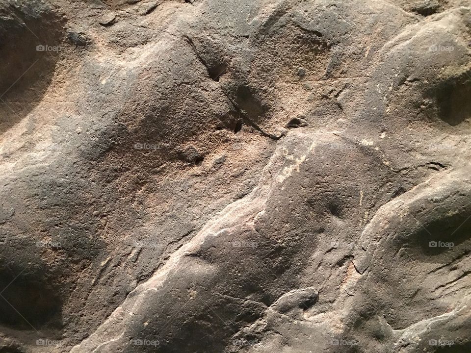 Sample sandstone rock slab millions of years old from ocean floor sea bed fossils, marine biology, earth sciences, history, geology and education, closeup copy text space