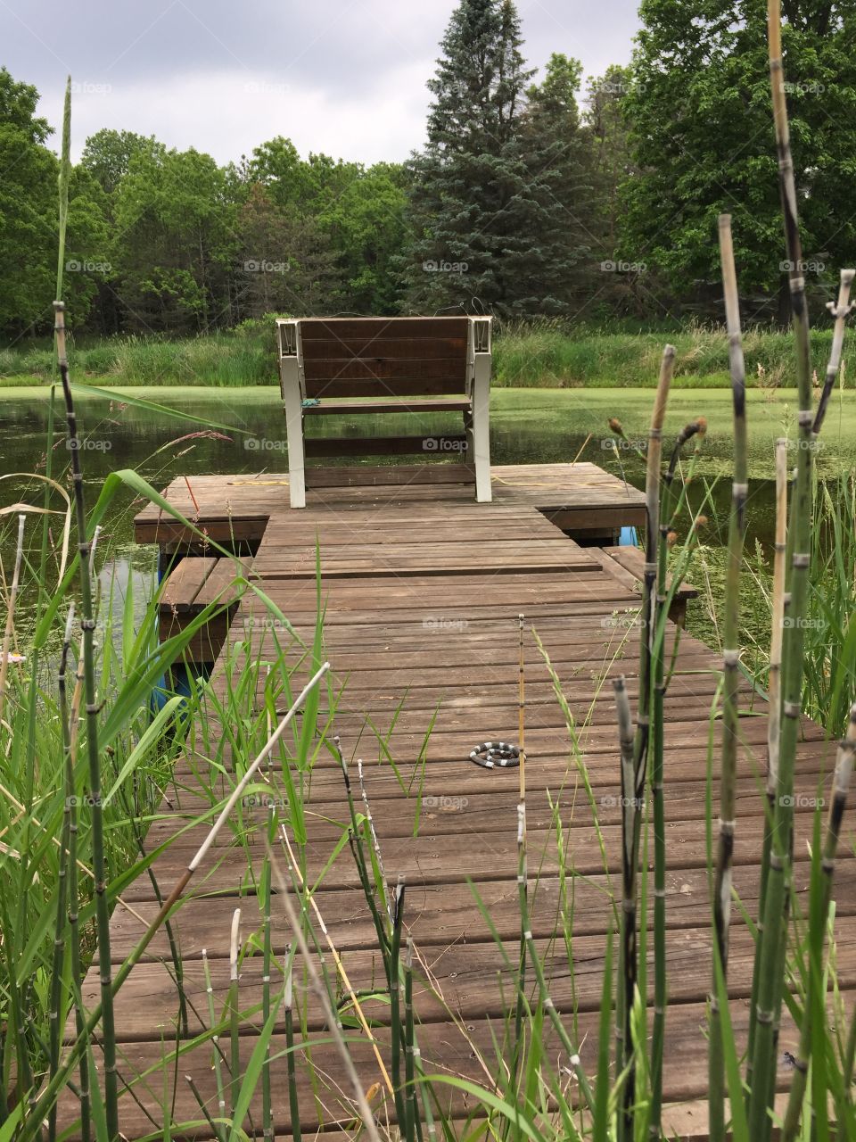 Pond bench. Pond bench