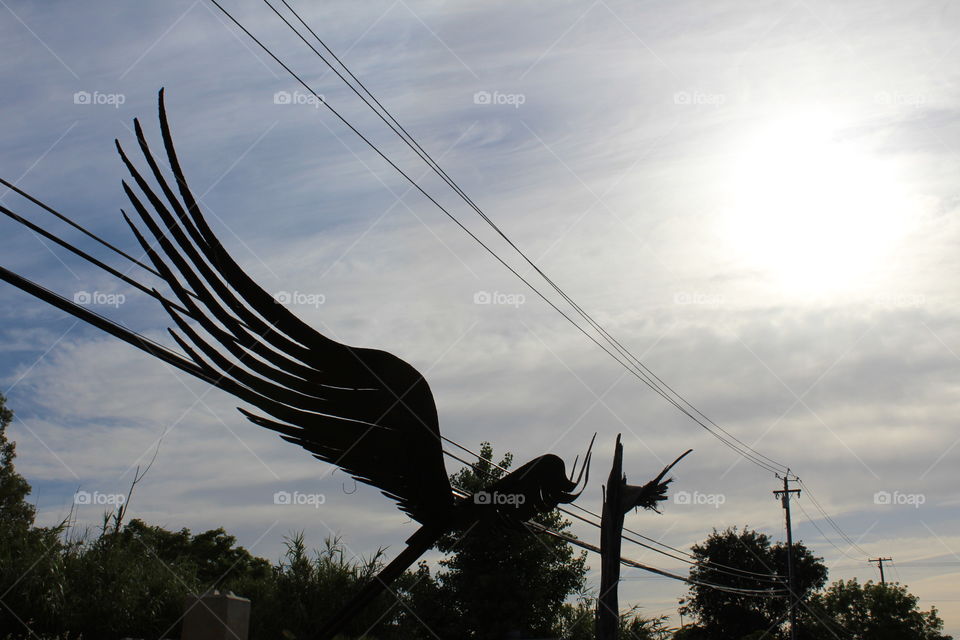 Iron Art wings