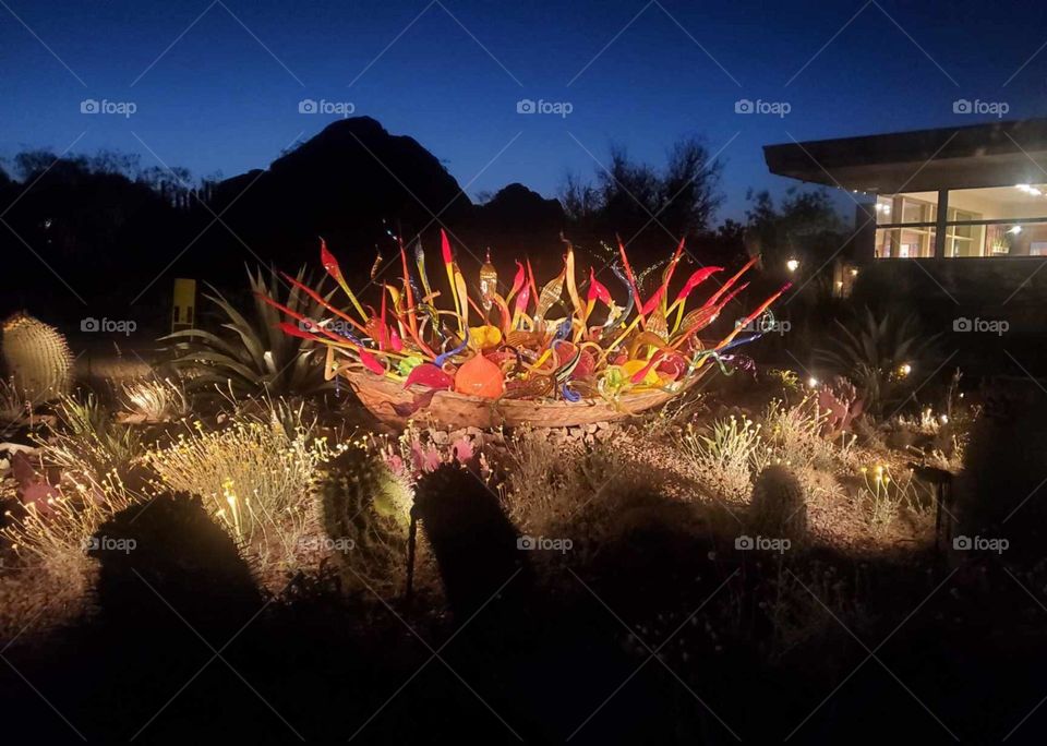 Desert Botanical Garden at night. Phoenix Ar. The cactus plants are awesome during the day, but at night many light displays simply take your breath away. It's a magical kingdom! Each display out does the other.