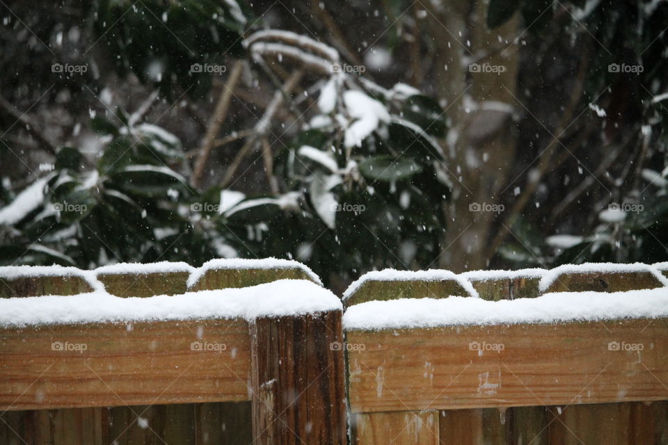 snow accumulating on wooden fence