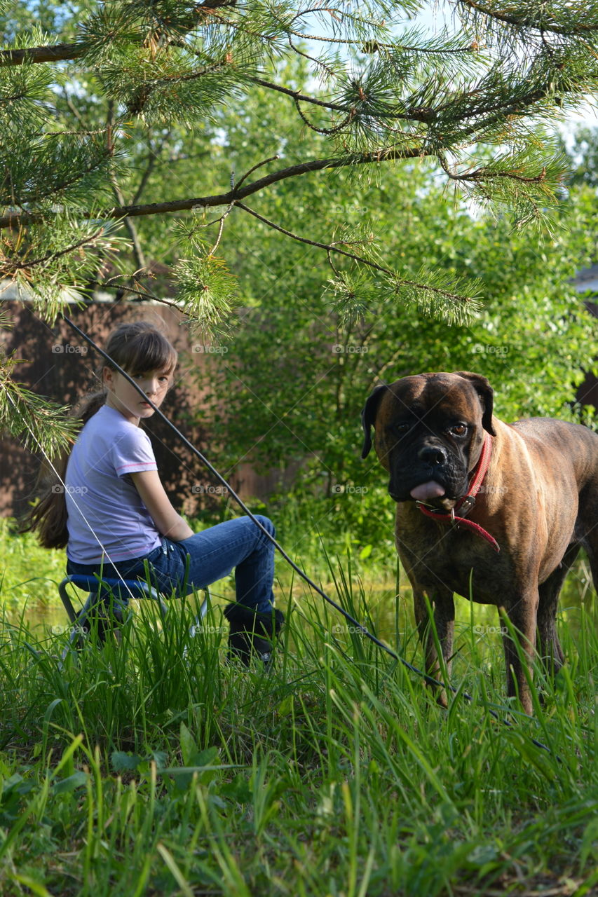 Grass, Nature, Outdoors, Park, Summer