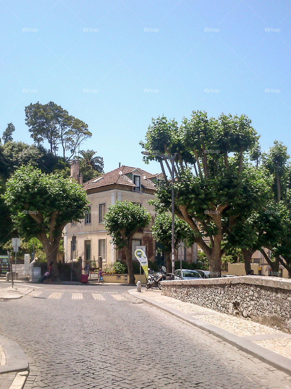 Architecture, Building, Street, Tree, Travel