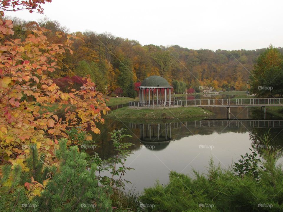 In the autumn park