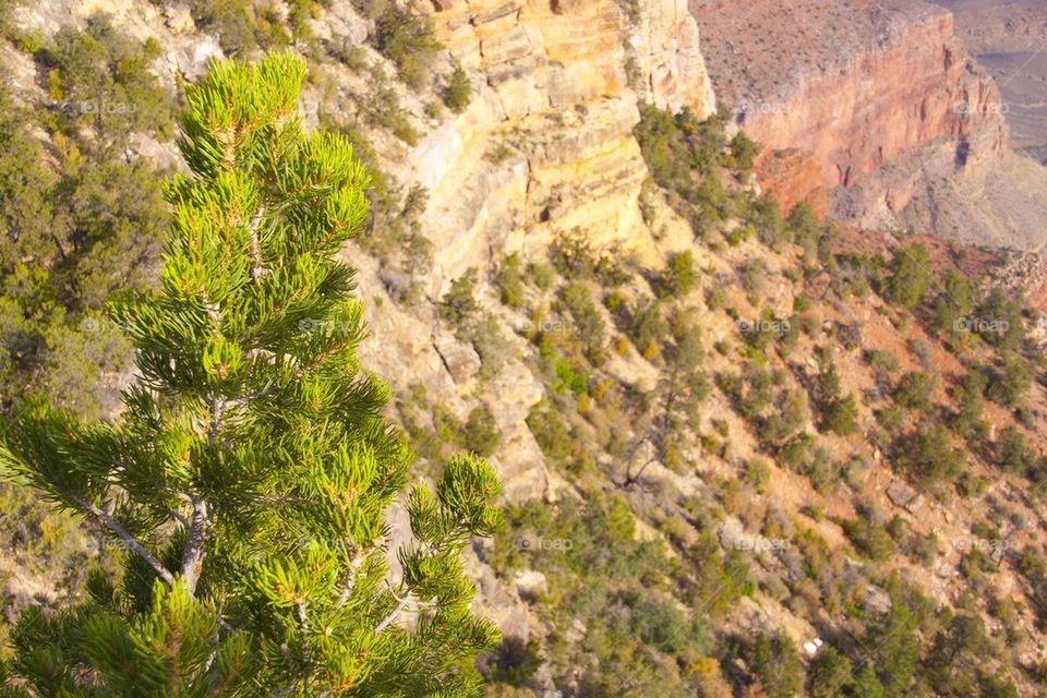 GRAND CANYON, ARIZONA THE GRAND CANYON NATIONAL PARK