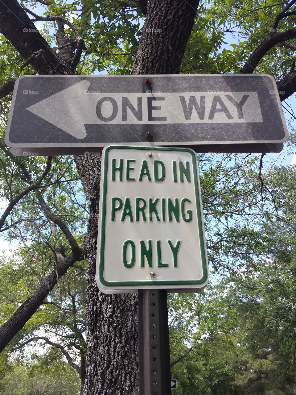Head In Sign