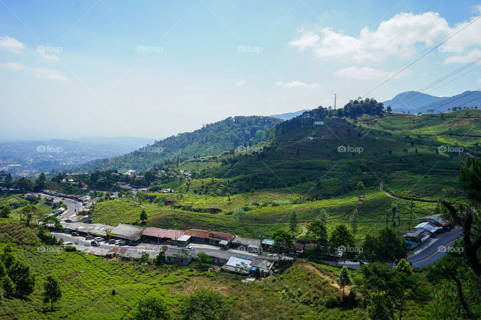 highland of puncak, west java, indonesia, with tea plantation