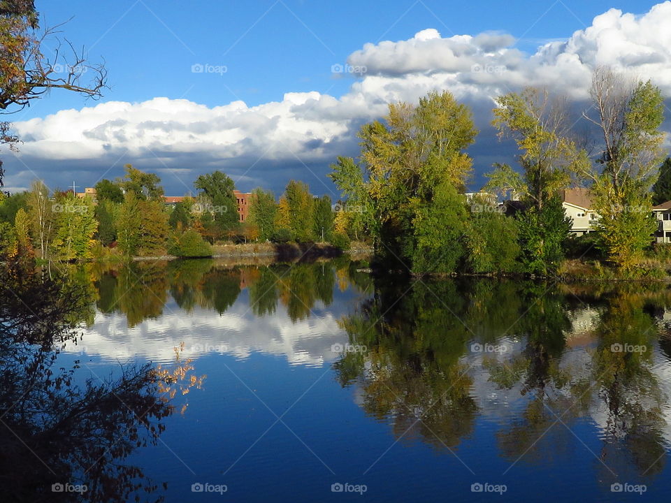 Trees and clouds reflecting on lake