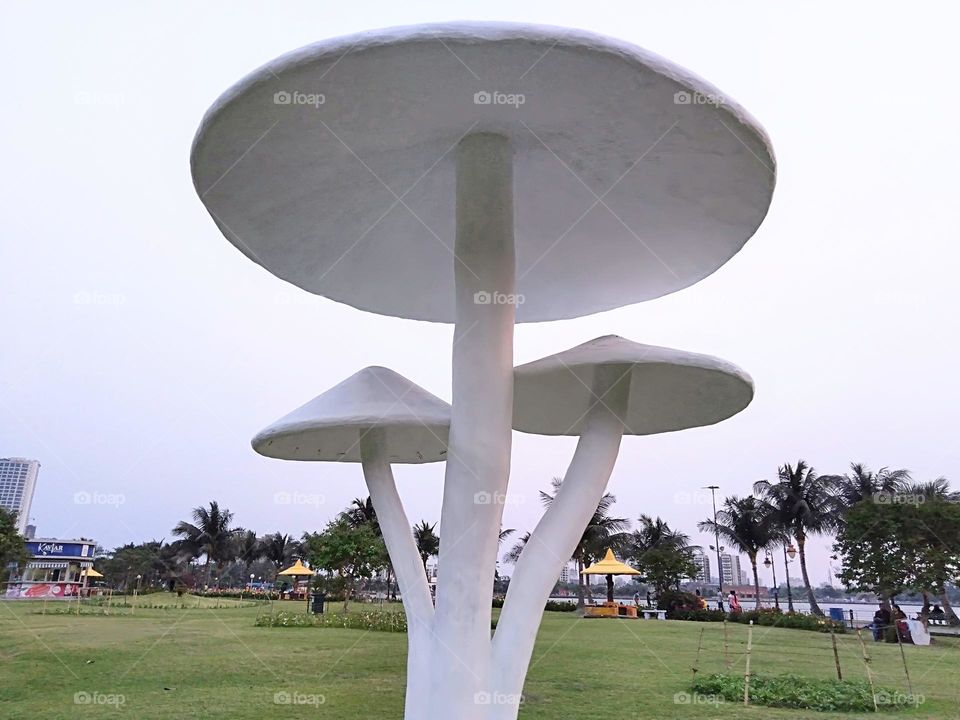 Mushroom like structure