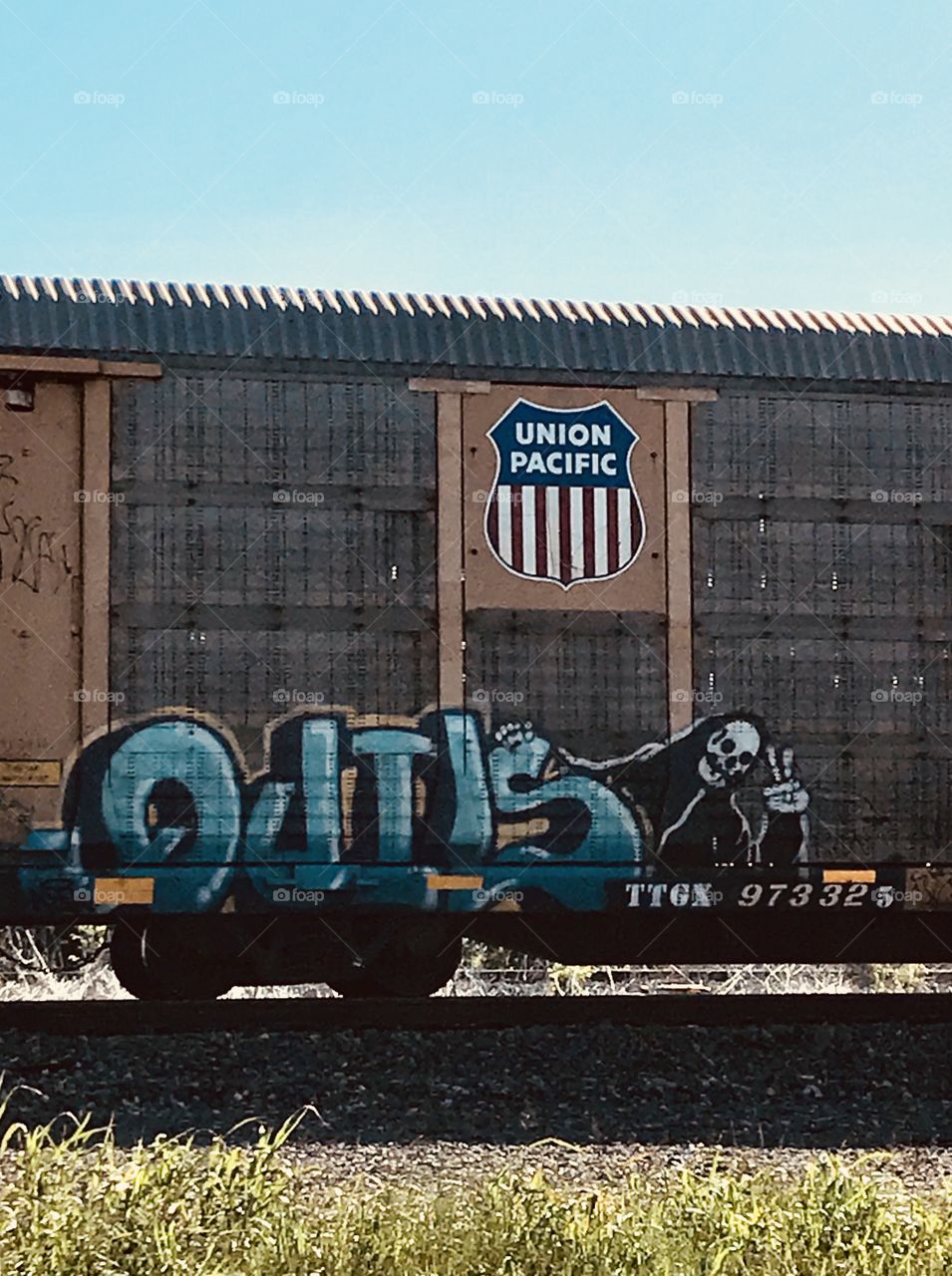 Graffiti Train Art 
