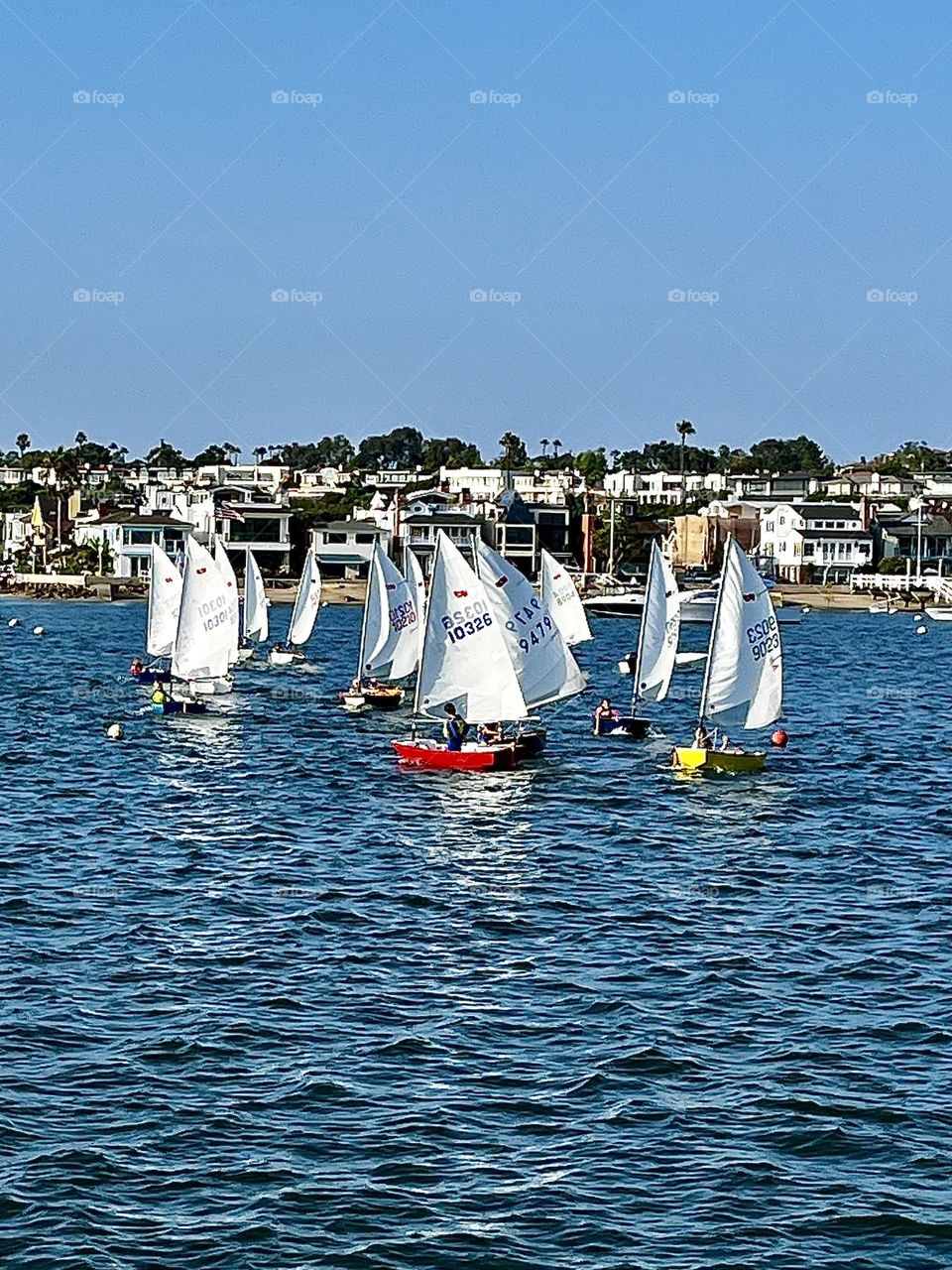 Summertime Sailboat Race