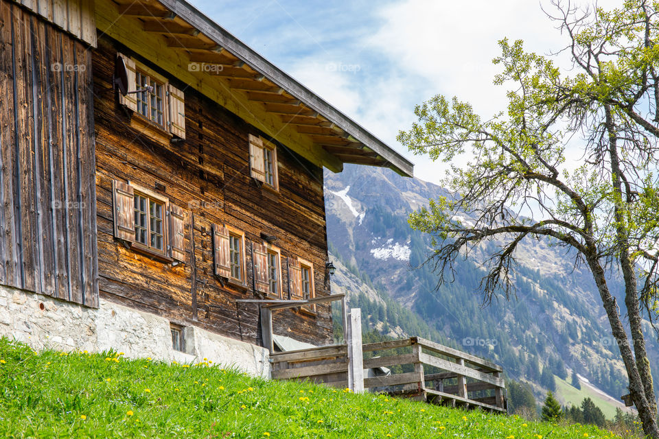 alpine hut and farm house with tree