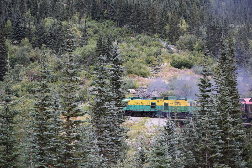Skagway Train Adventure 
