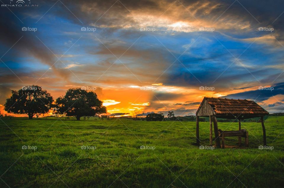 Sunset, No Person, Dawn, Grass, Landscape