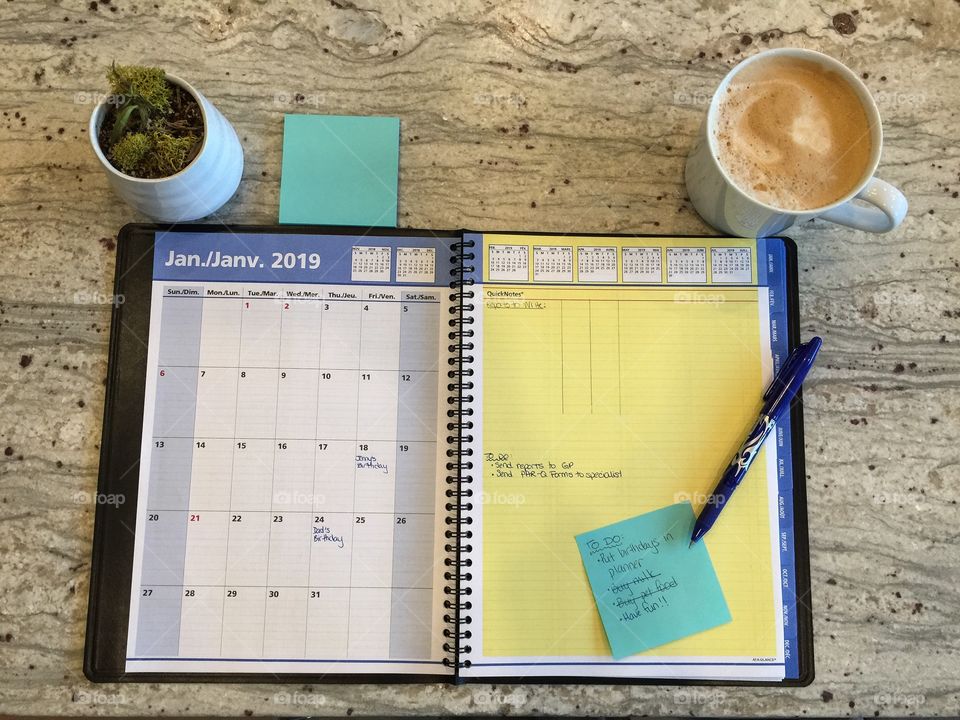 Working on organizing myself for 2019 using At-a-Glance planner