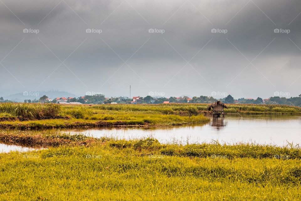 Nature in Vietnam 