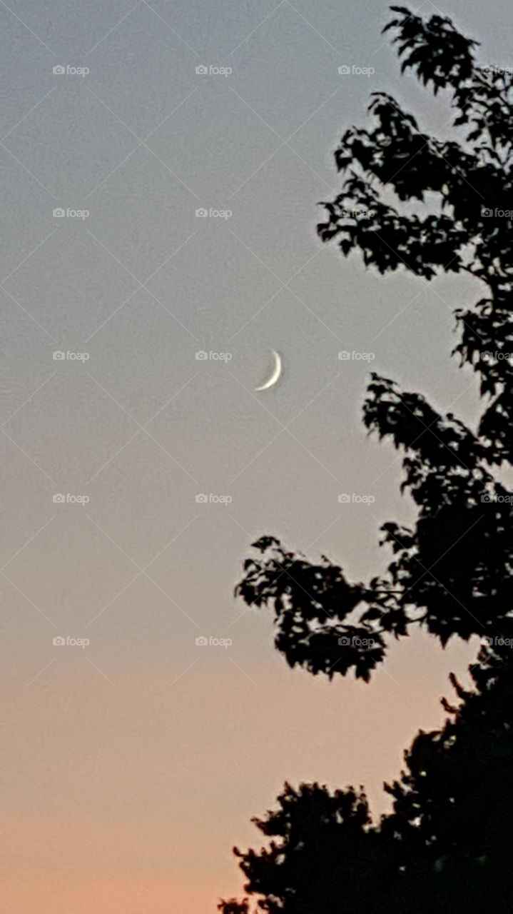 Crescent Moon