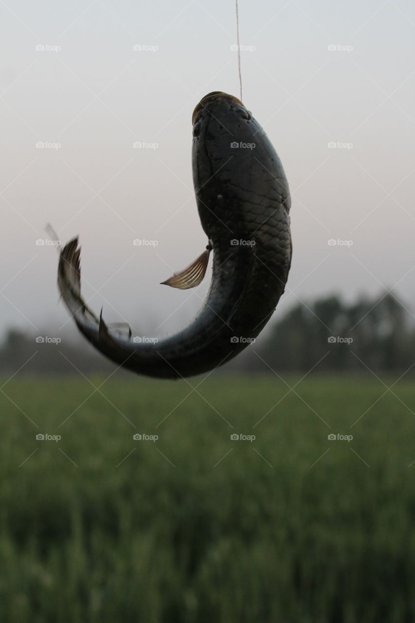 nice moment..to enjoy