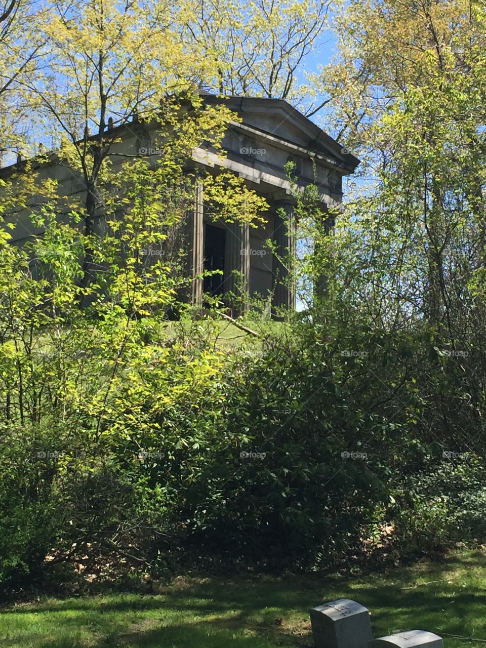 Walking through Lakeview Cemetery on a warm summer day 