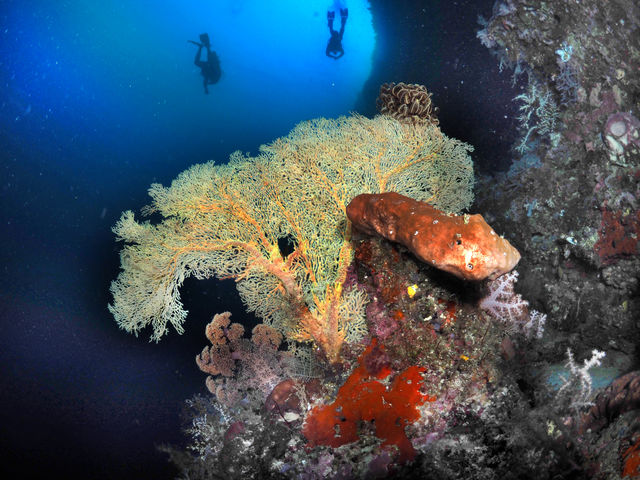 a underwater