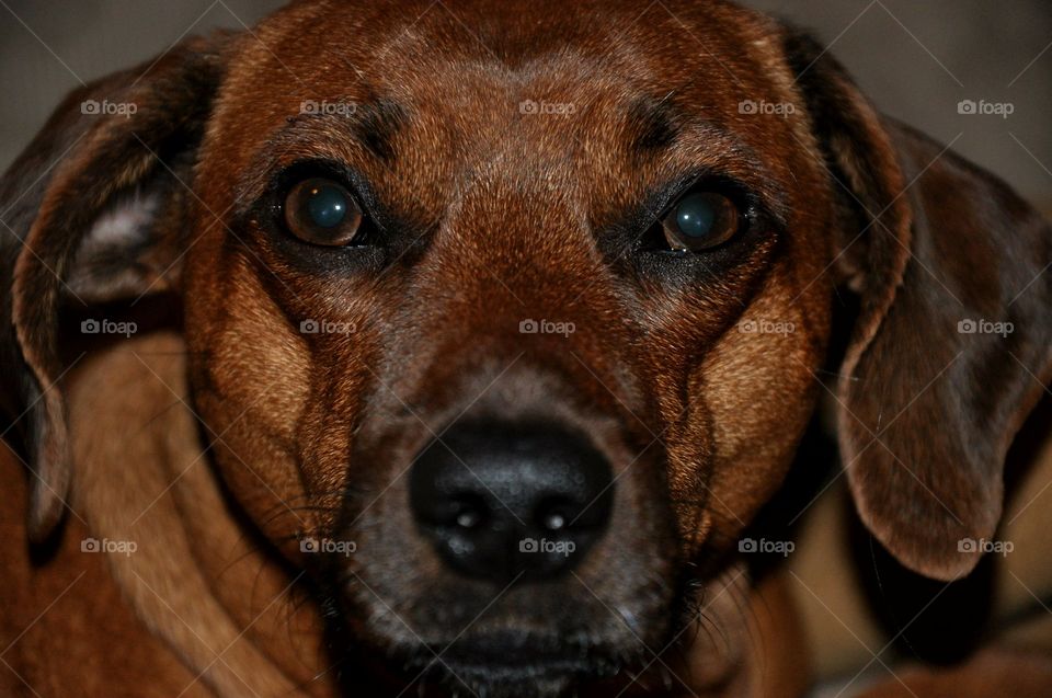 Beautiful macro shots