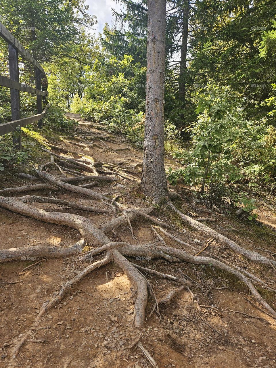 life is in the soil as well as above the soil