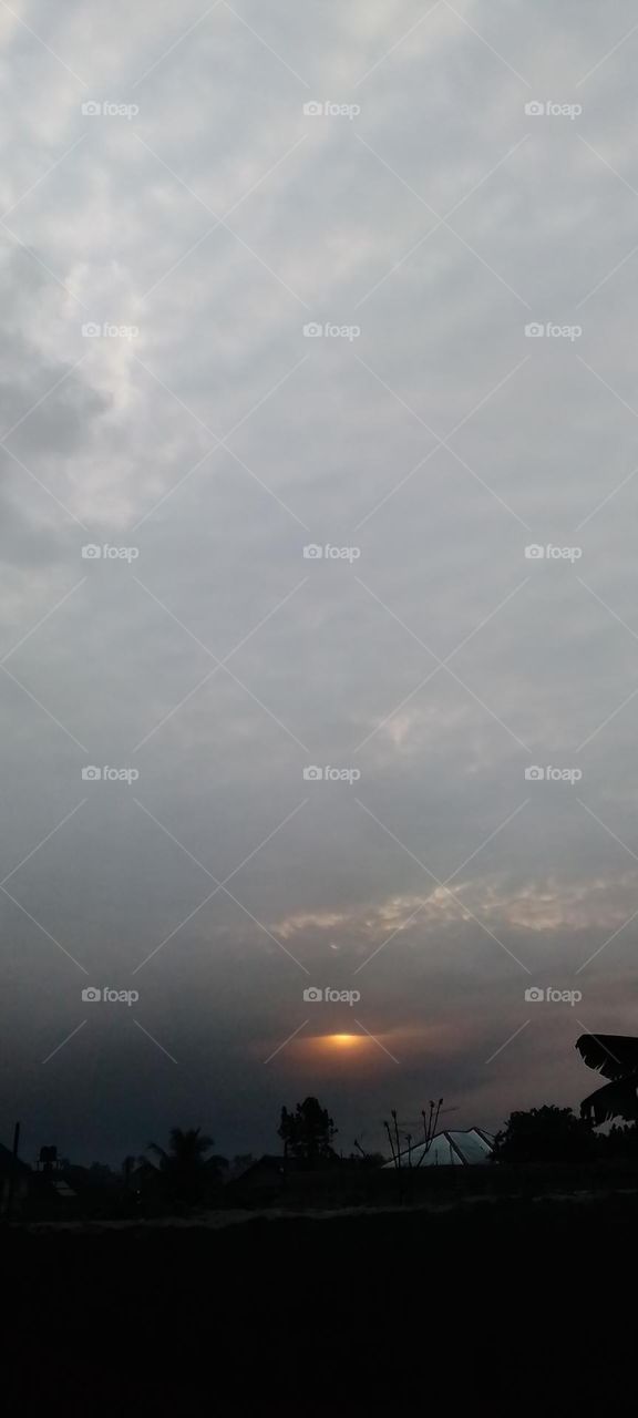 dawn, sunlight, darkish, sensational, nightingales, light, rays.....