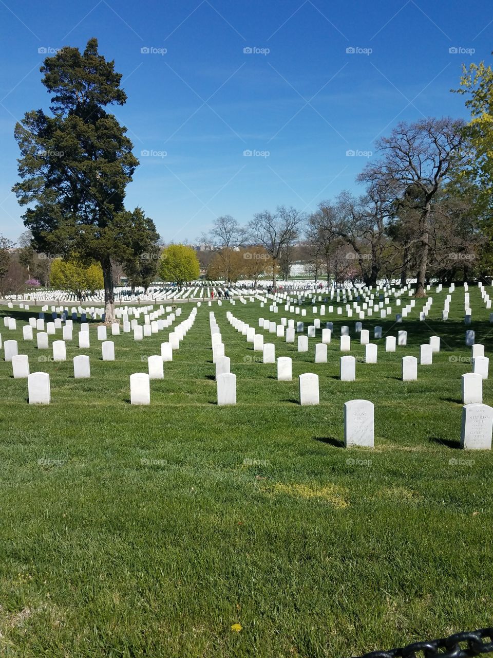 A graveyard in Washington DC, Arlington National Cemetary
