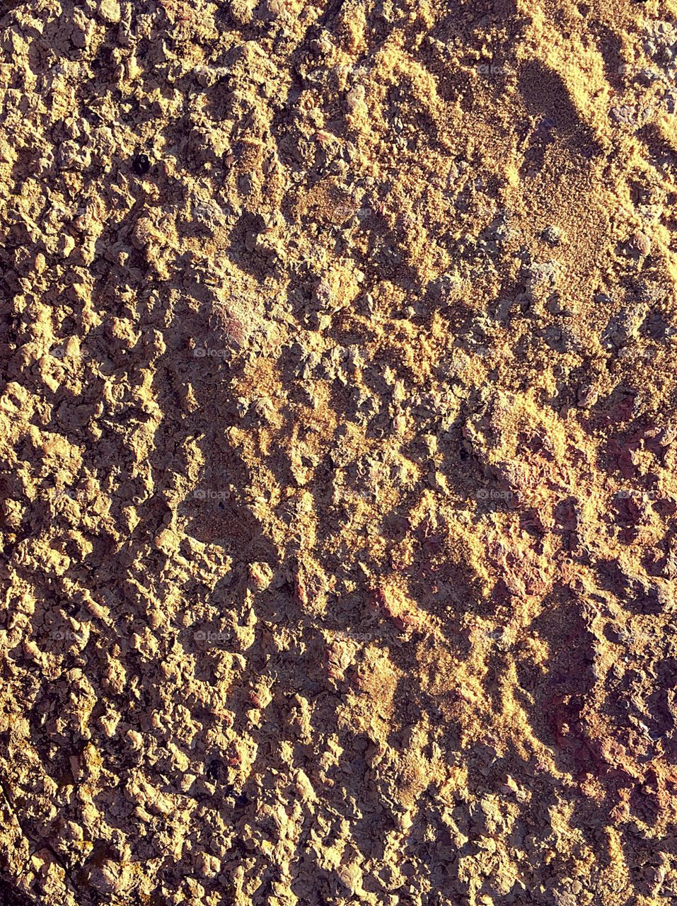 Sand texture background