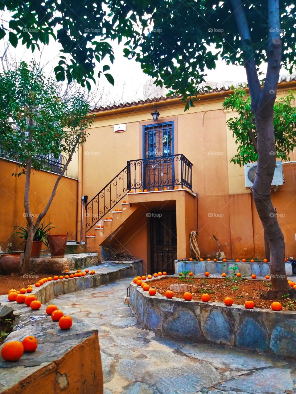 House full of oranges, Athens, Greece