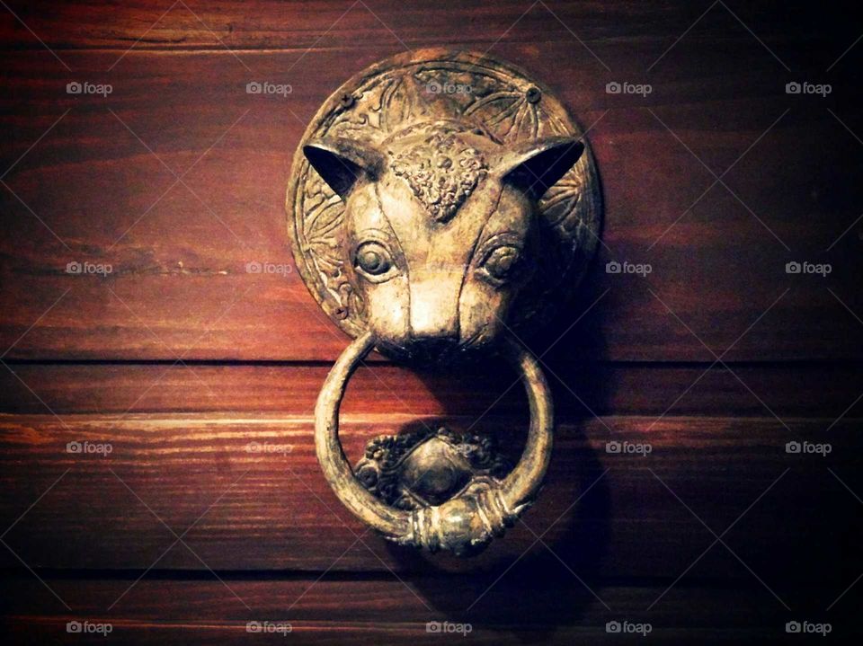 Door with cat head