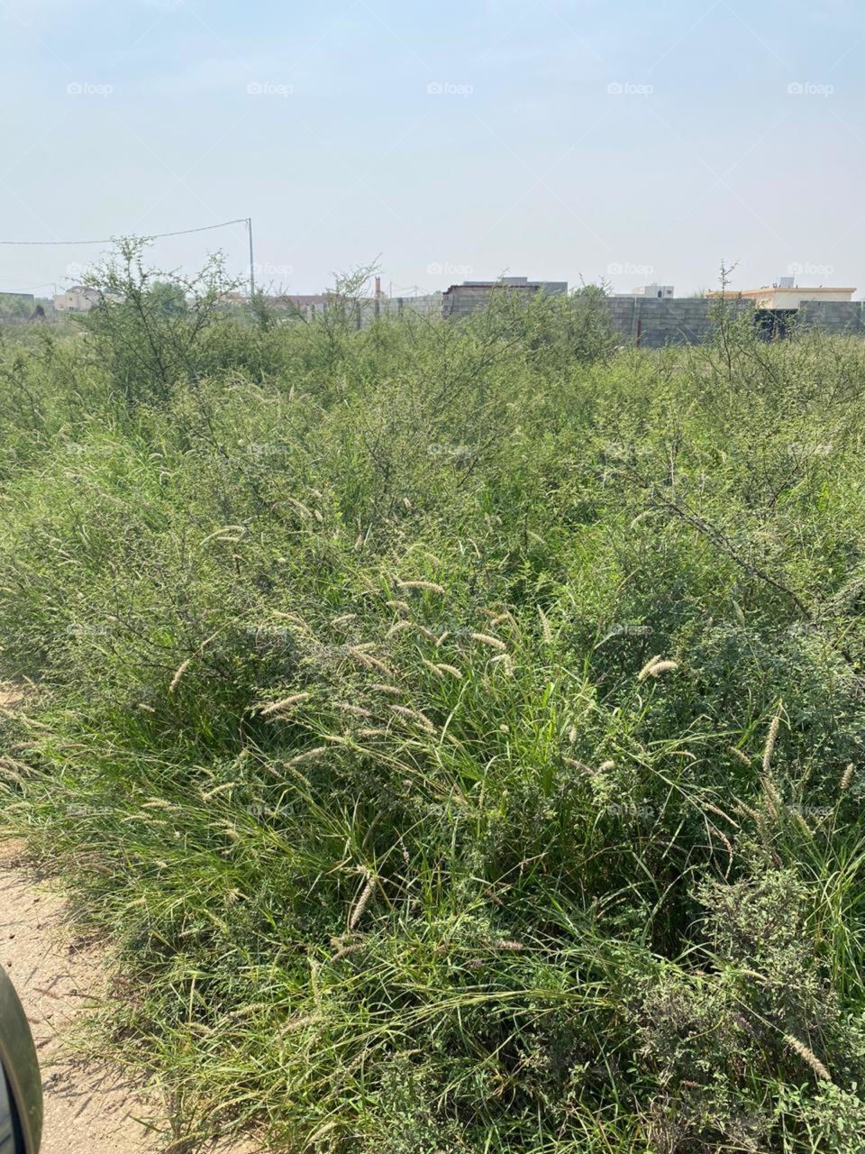 I need your support guys, I'm very, very poor, poor