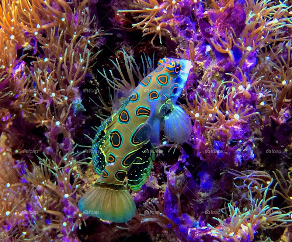 This photo shows how is mother nature amazing and despite twenty-twenty was a hard Year, the Nature is always here for You to make You feel better 🌿💚🔮