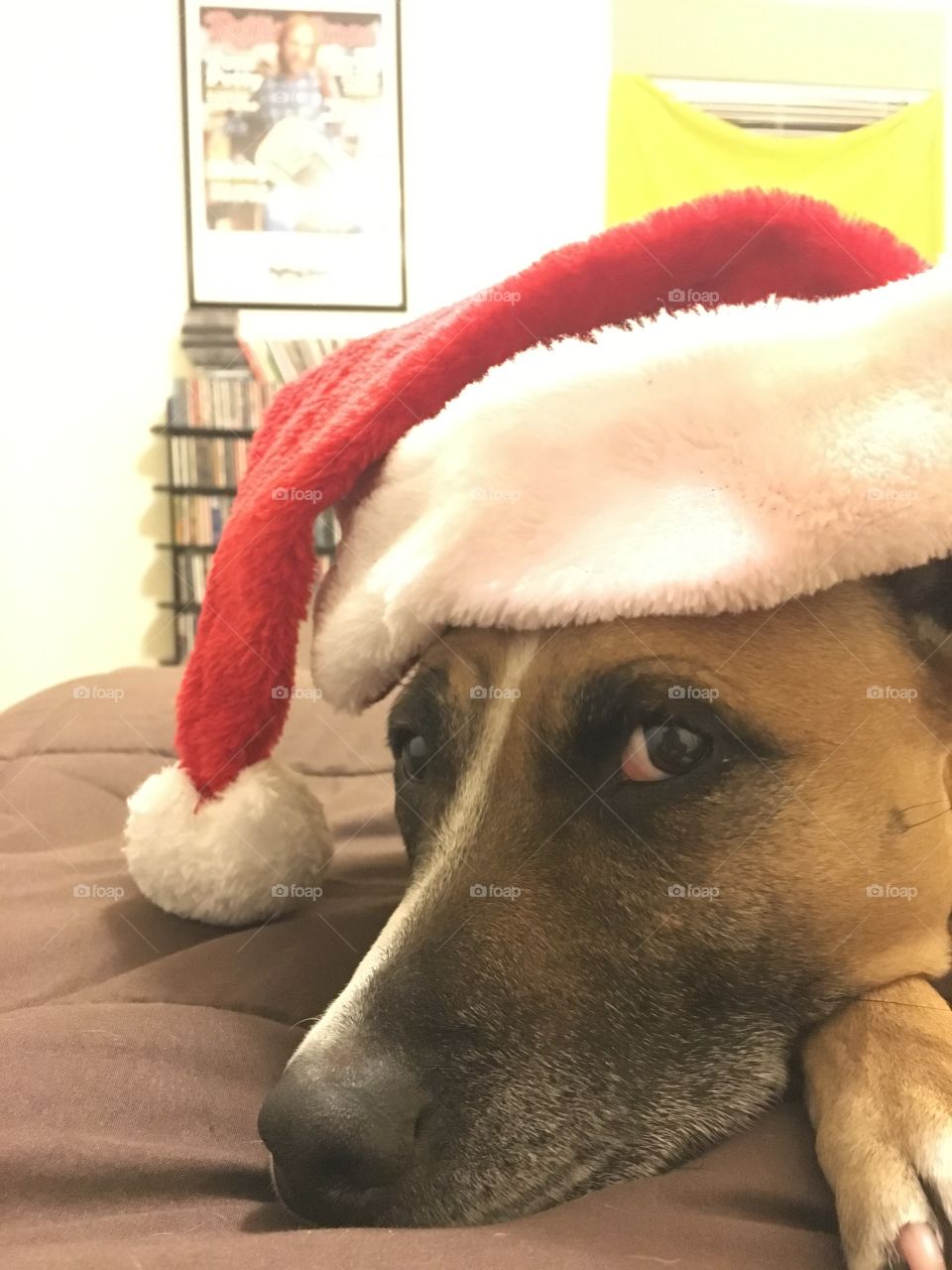 Is it Christmas already?