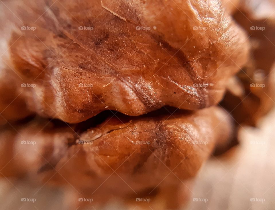 macrophoto of the walnut