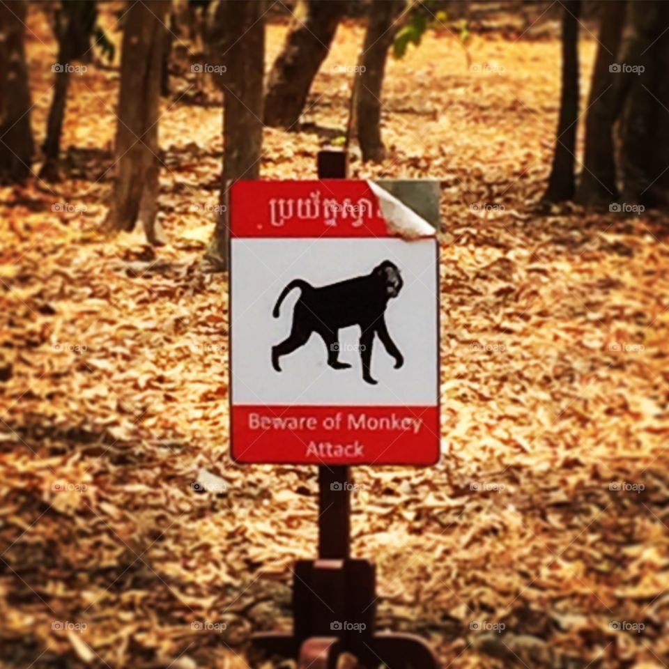 Angkor Wat sign, beware the monkeys 
