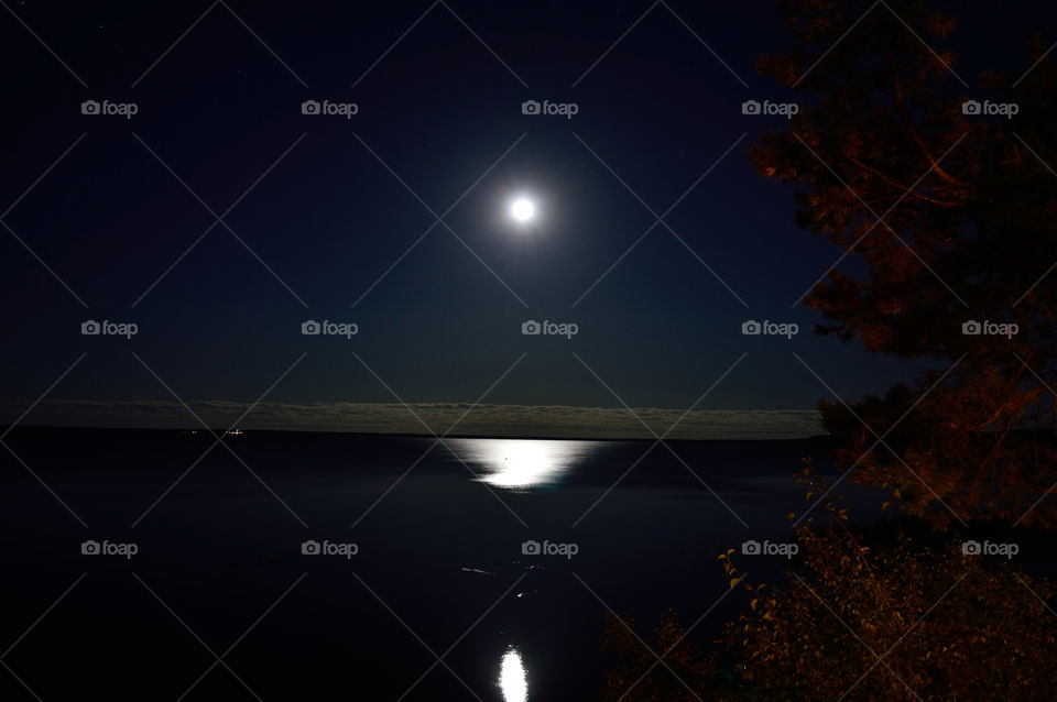 moonlit night by the lake