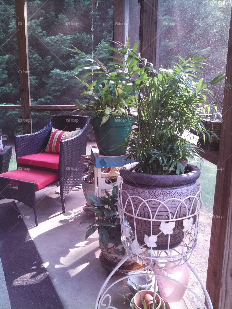 Summer Porch with Plants