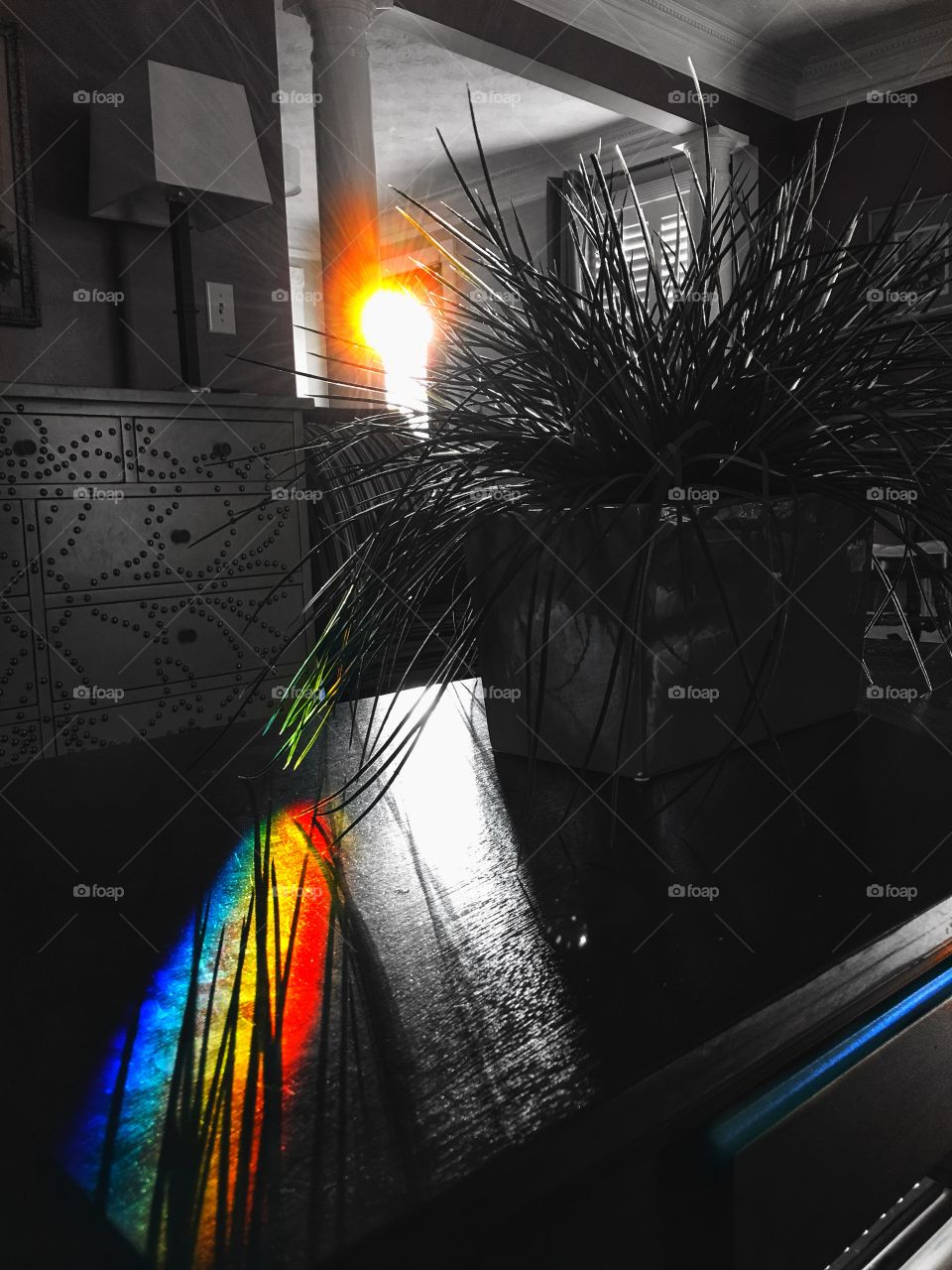 Morning light through the window.