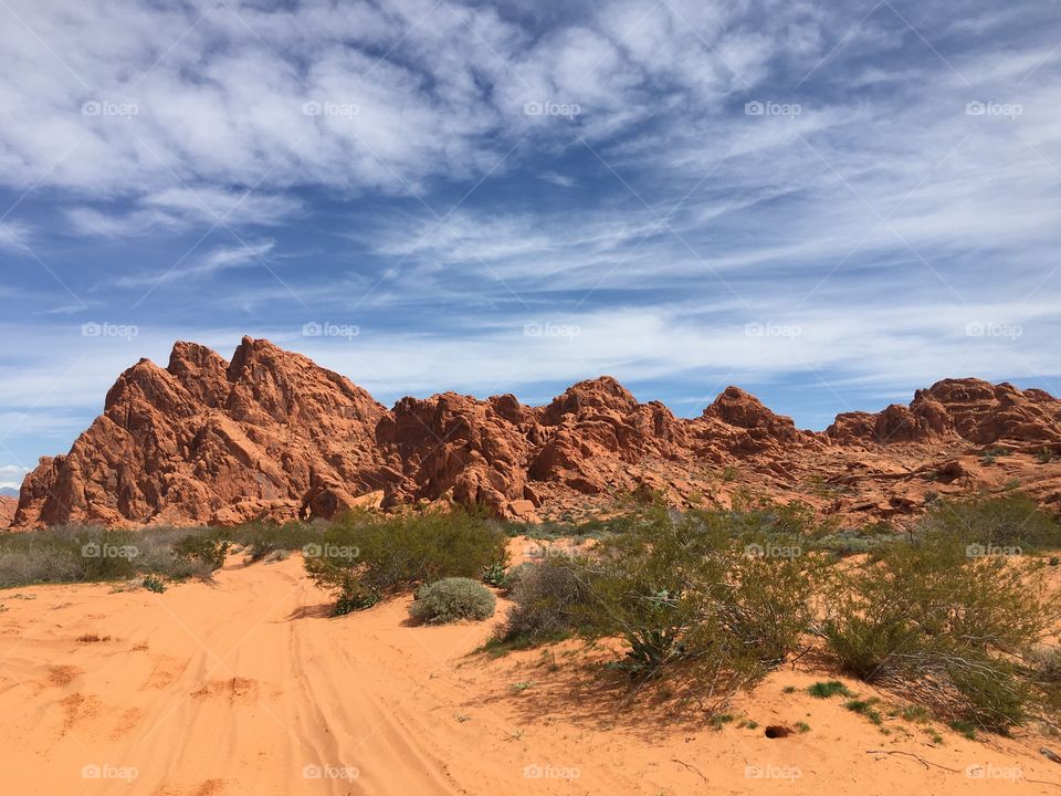 Desert landscapes 