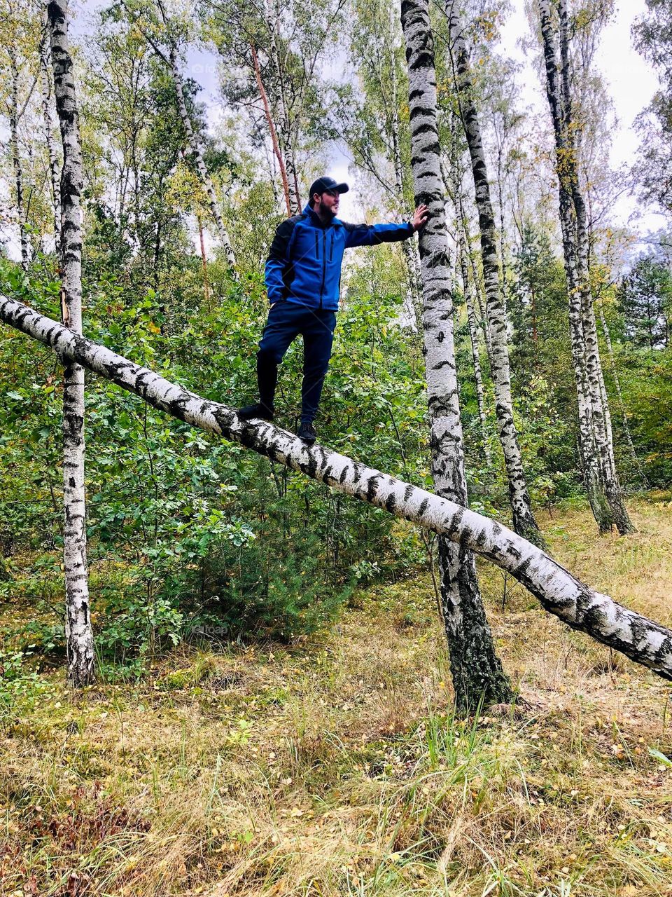 Man standing on a tree